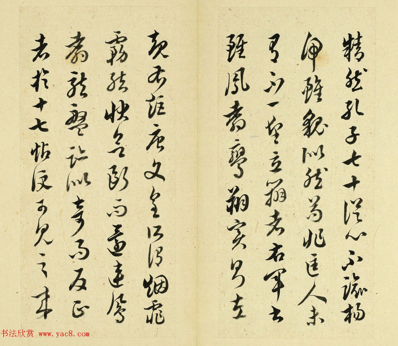 鷨ҳ͡ʮ