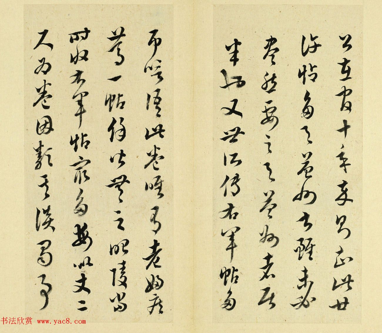 鷨ҳ͡ʮ