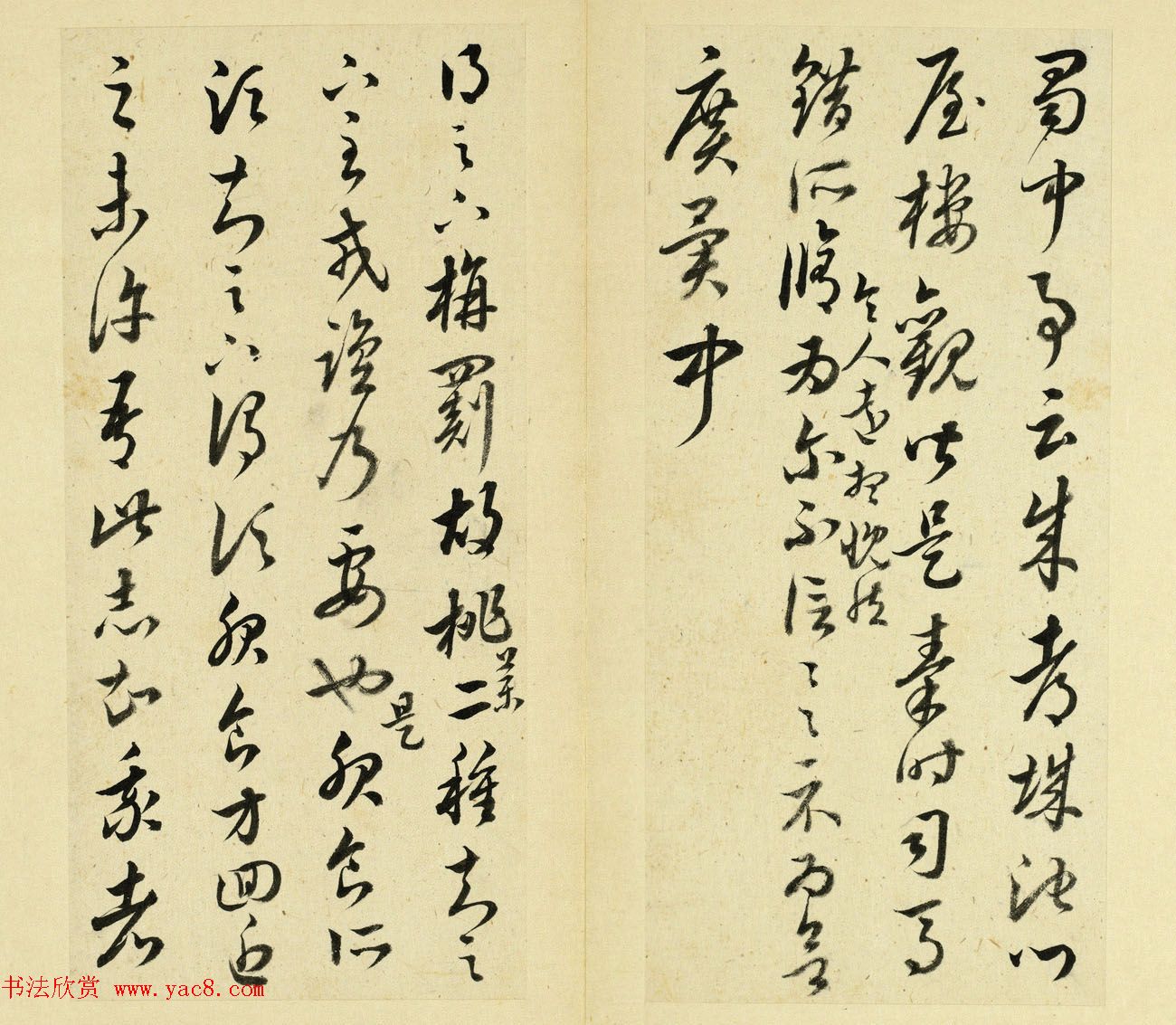 鷨ҳ͡ʮ