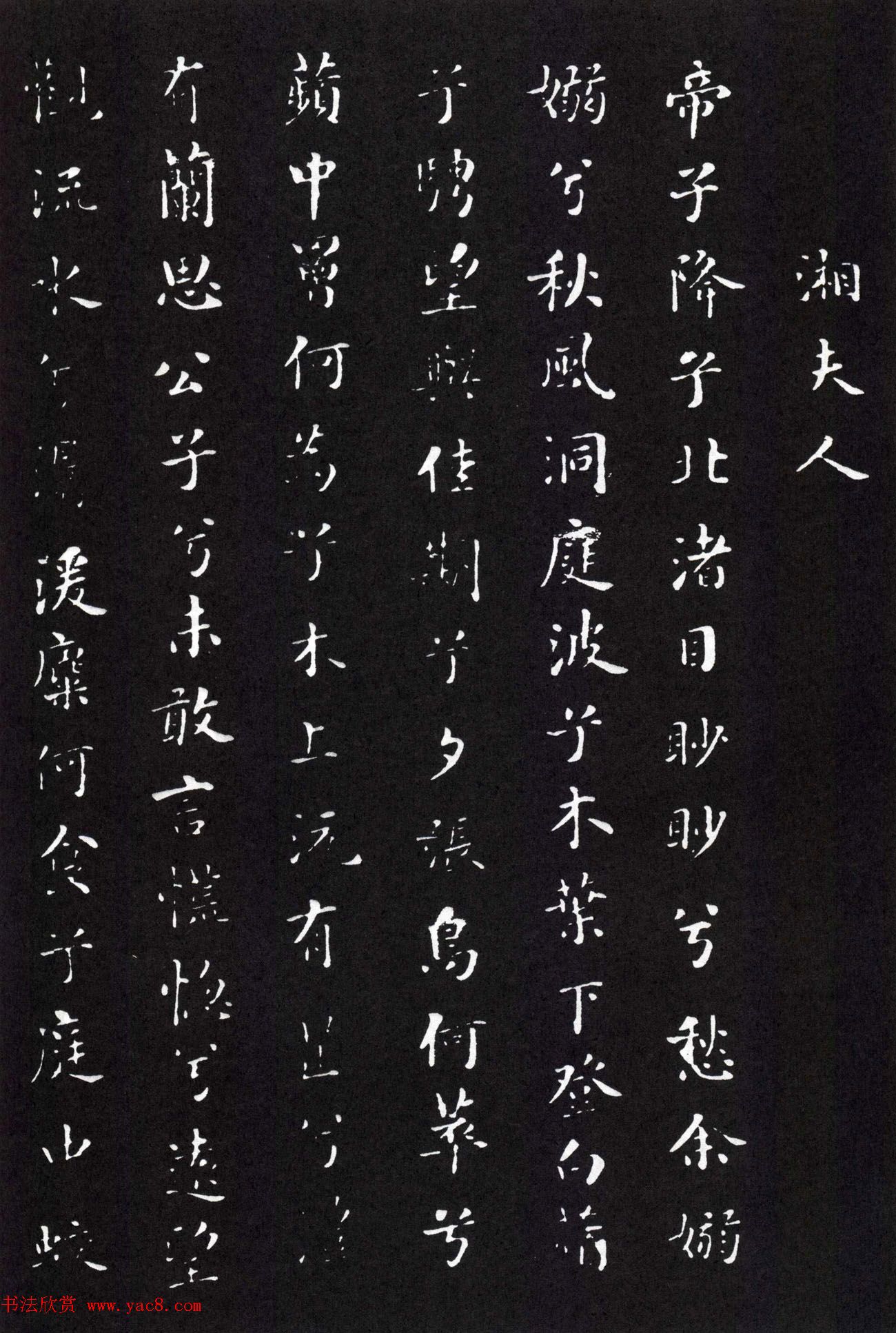 С鷨Ÿ衷ְ汾