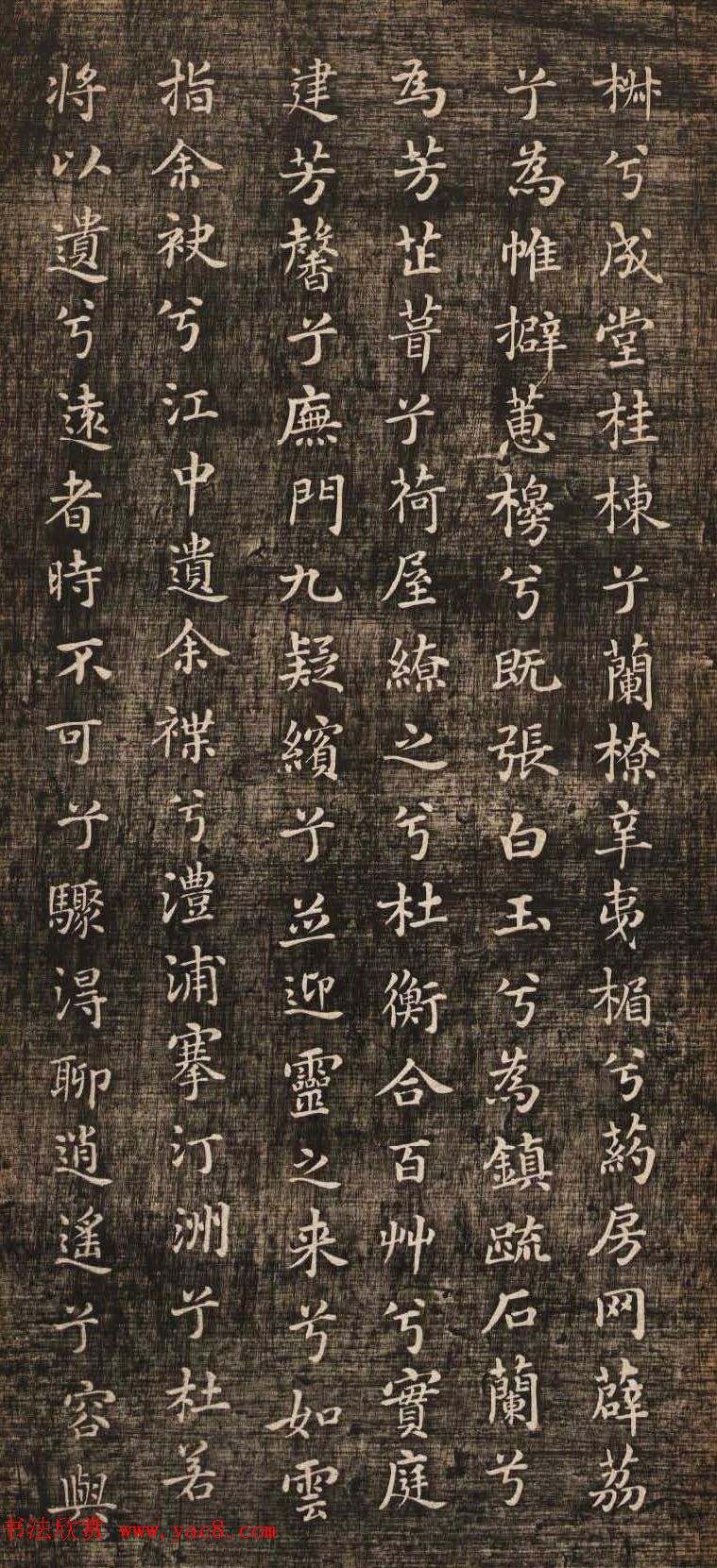 С鷨Ÿ衷ְ汾