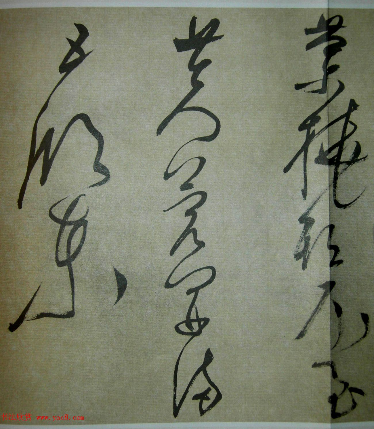 51鷨ʫ׾