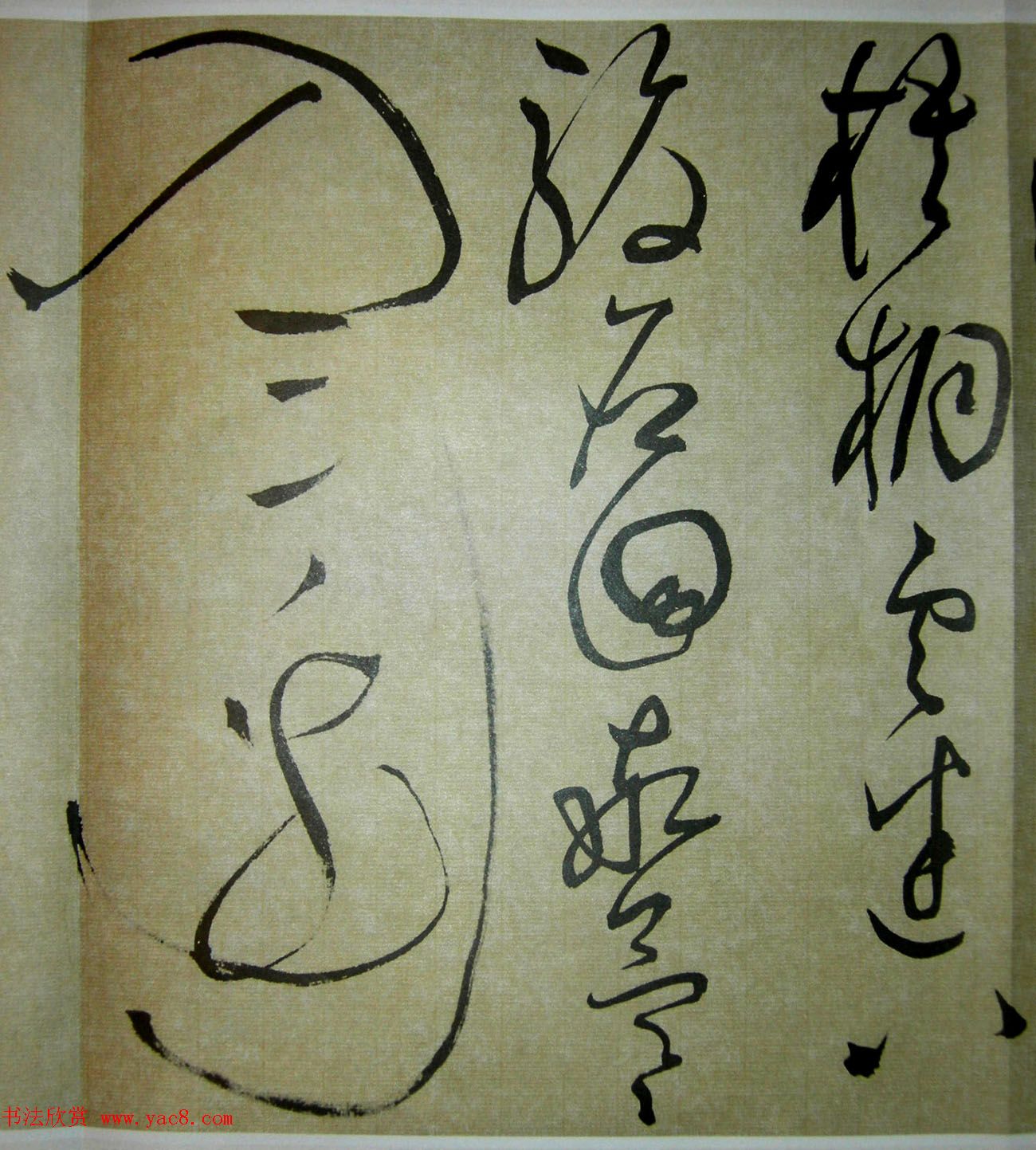 51鷨ʫ׾