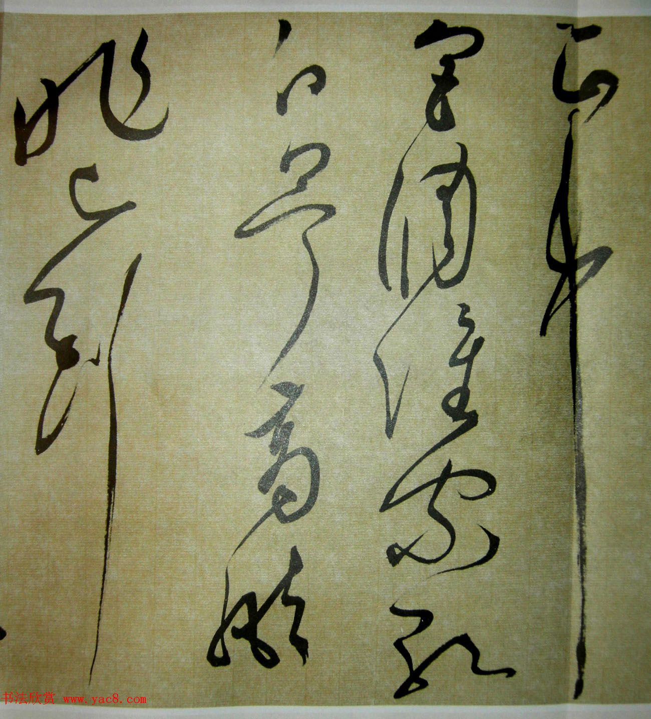 51鷨ʫ׾