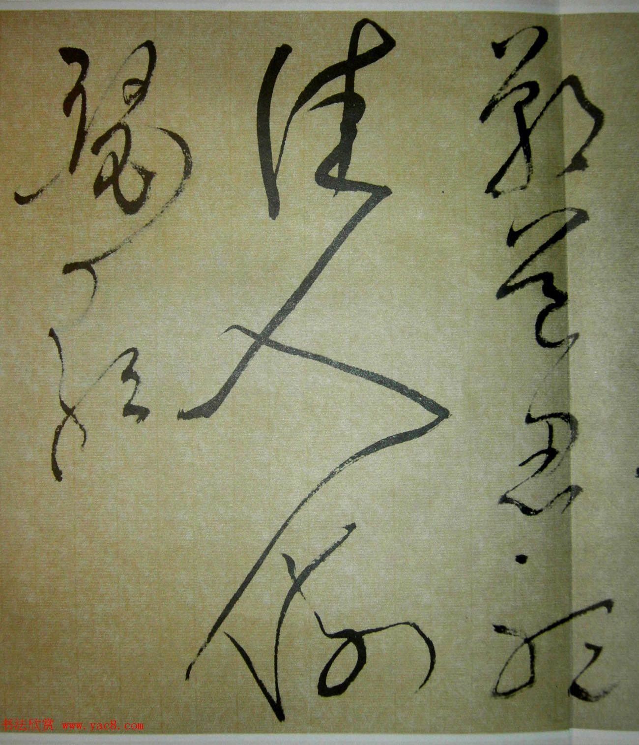 51鷨ʫ׾