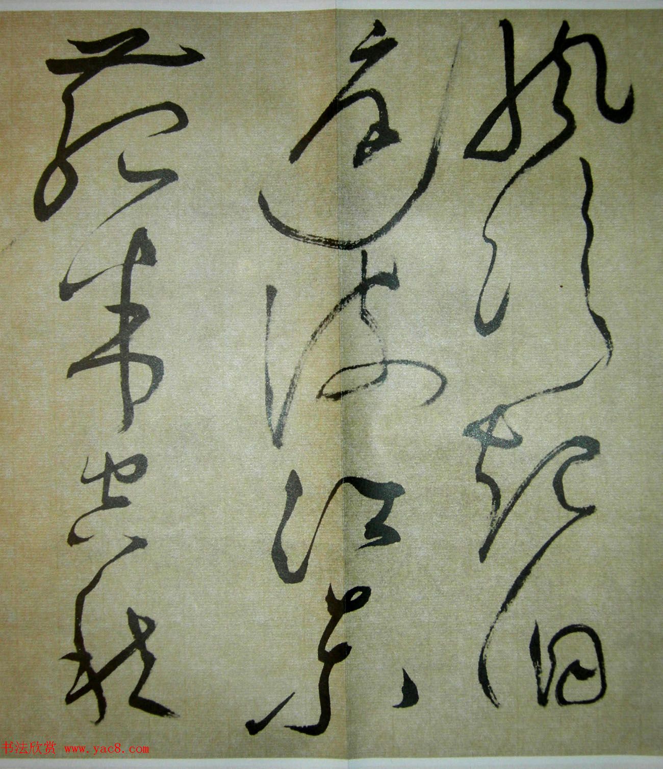 51鷨ʫ׾