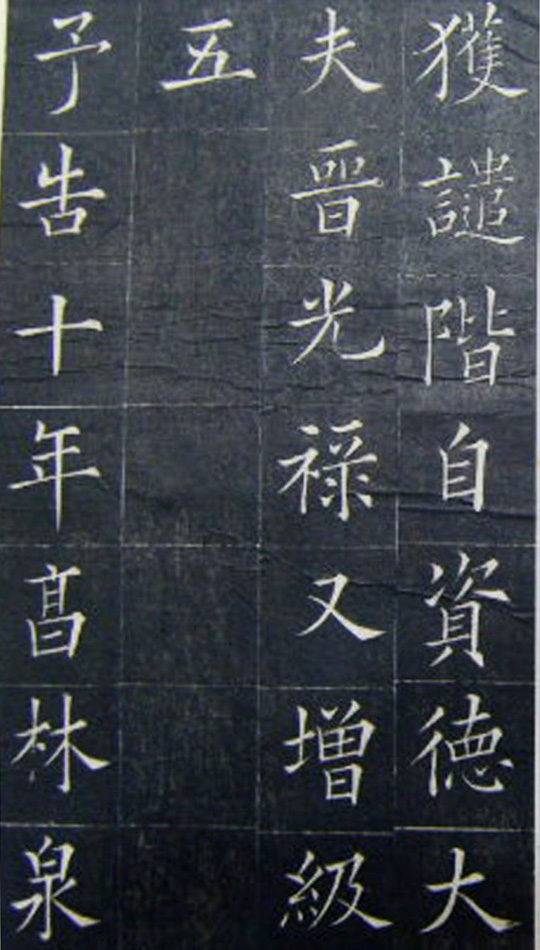 鷨顶