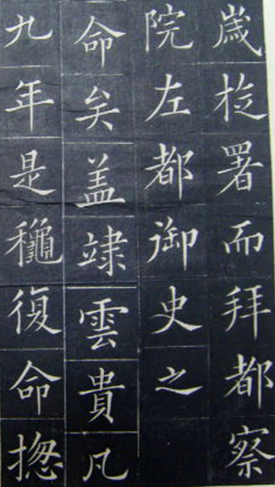 鷨顶