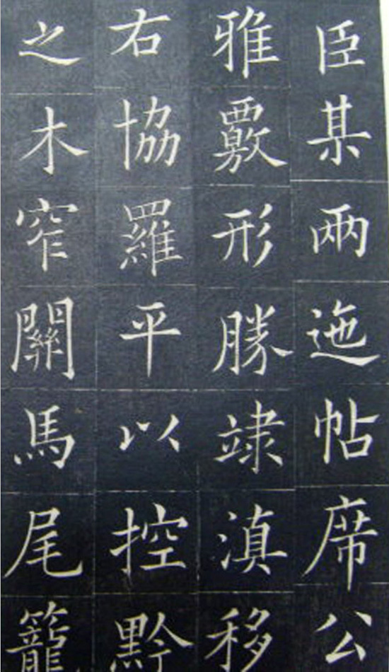 鷨顶