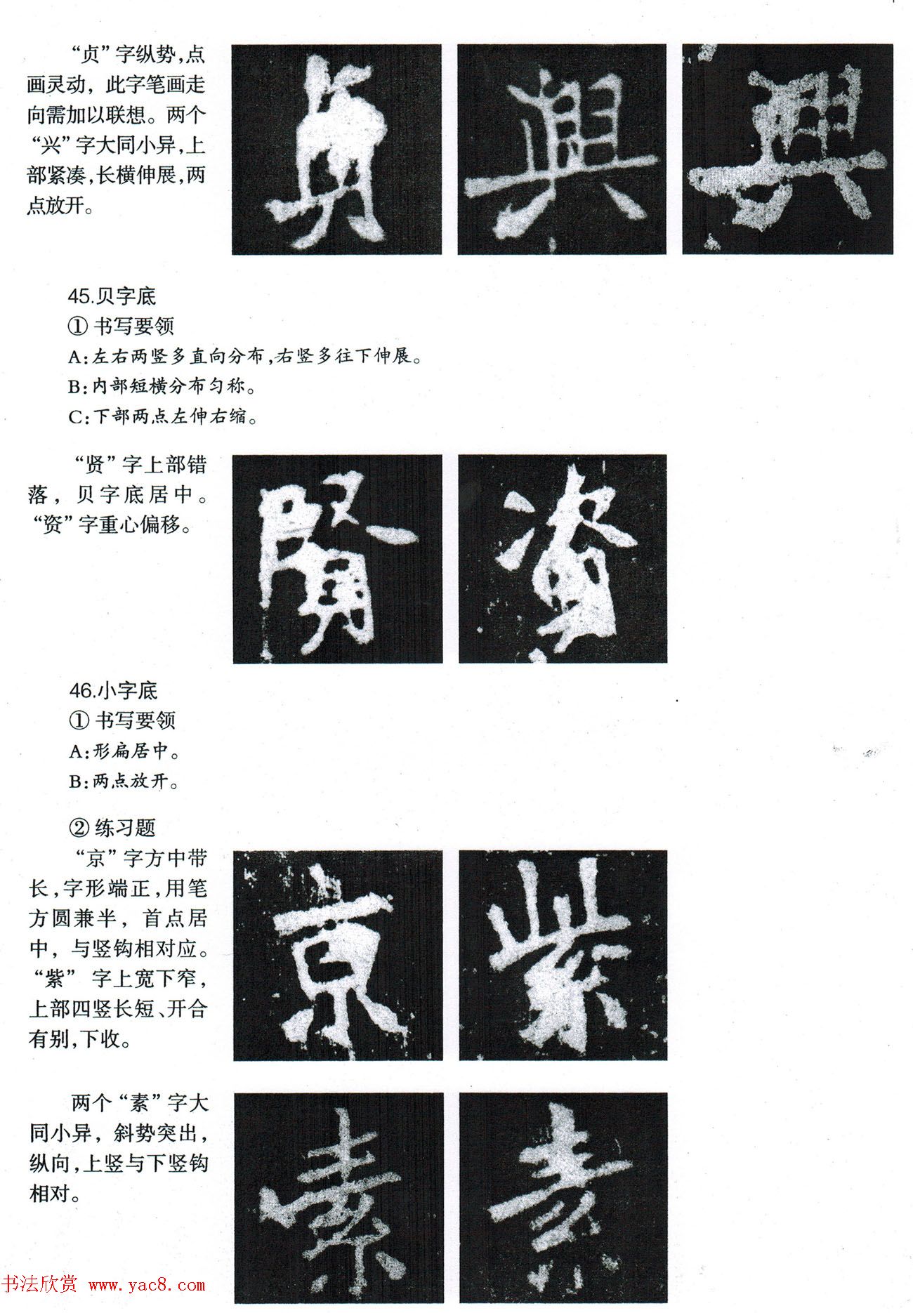 鷨̡̳--ƫԲס