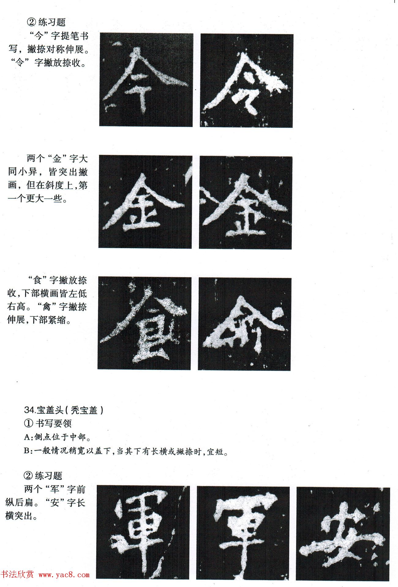 鷨̡̳--ƫԲס