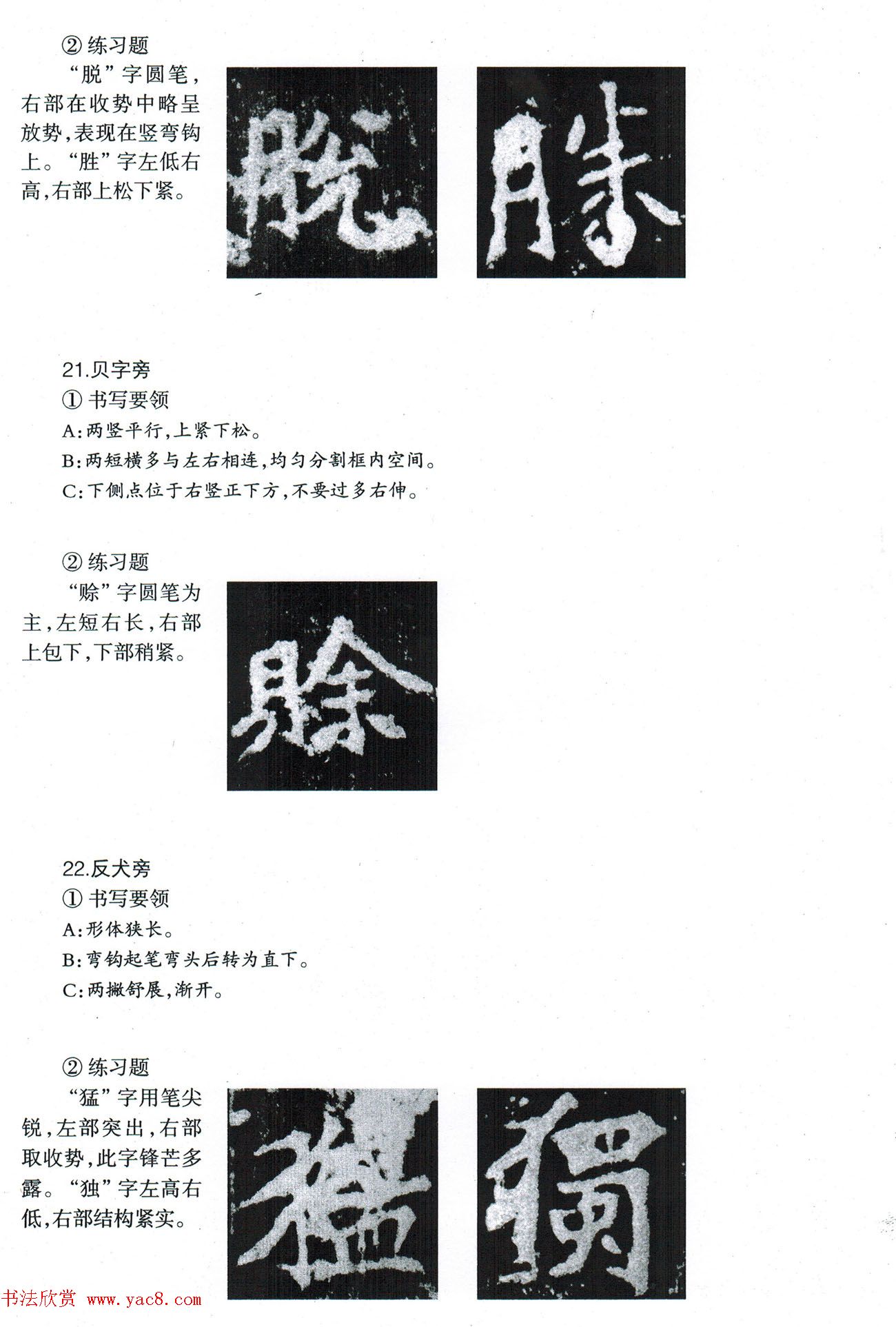 鷨̡̳--ƫԲס