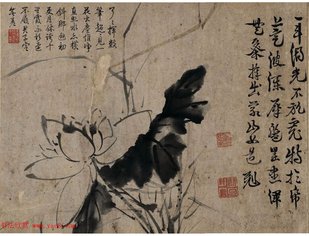 徐渭传世书画水墨写生卷2