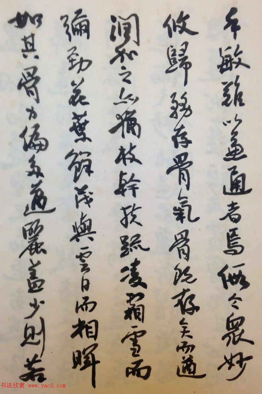 鷨ҳ͡ס