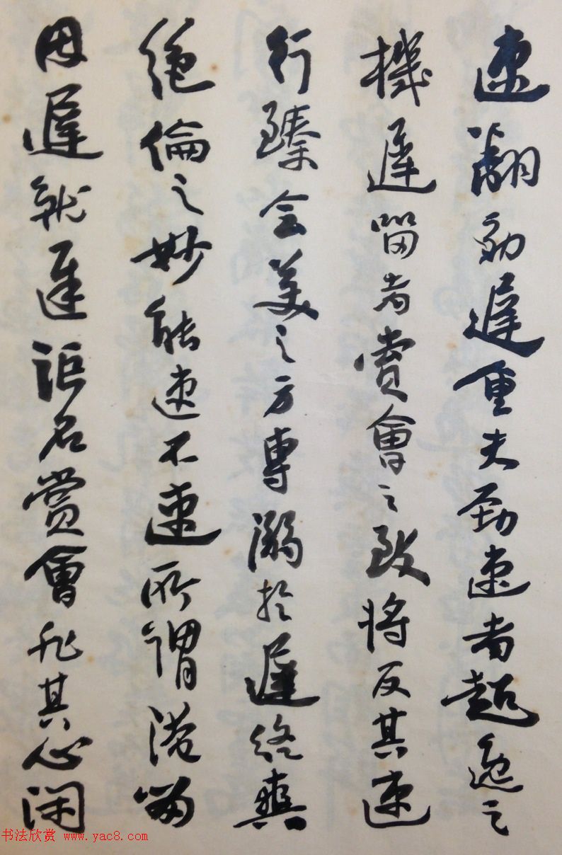 鷨ҳ͡ס