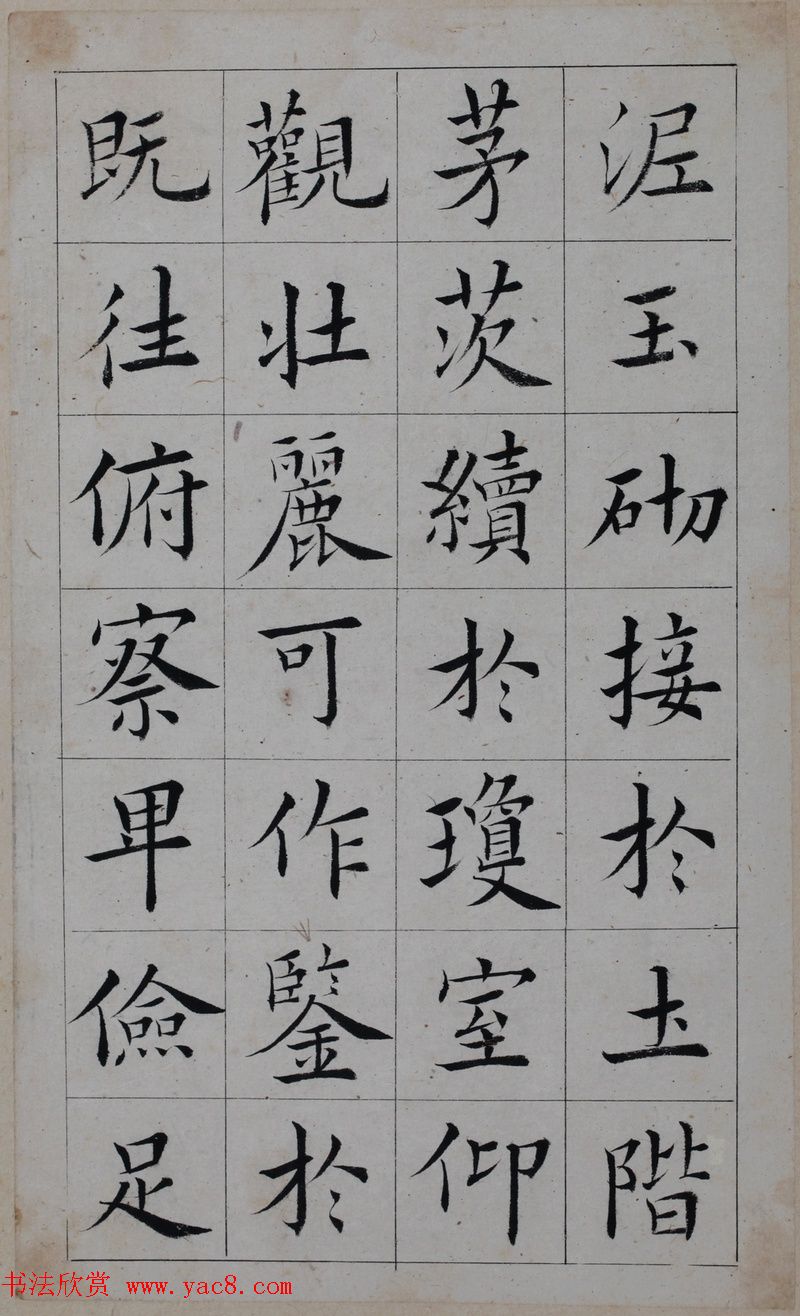 鷨īپųɹ