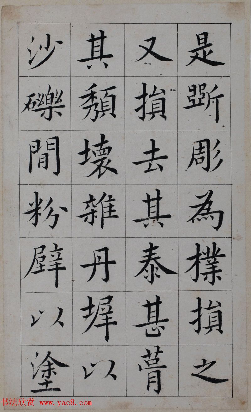 鷨īپųɹ