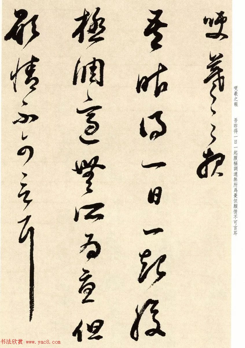 鷨īٴ