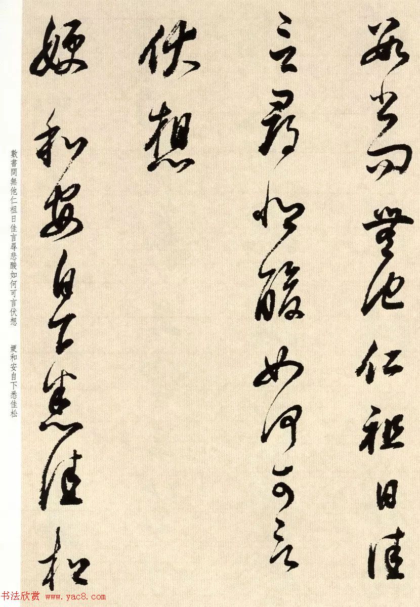 鷨īٴ