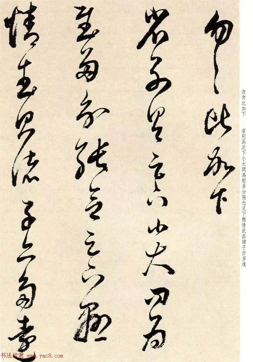 鷨īٴ