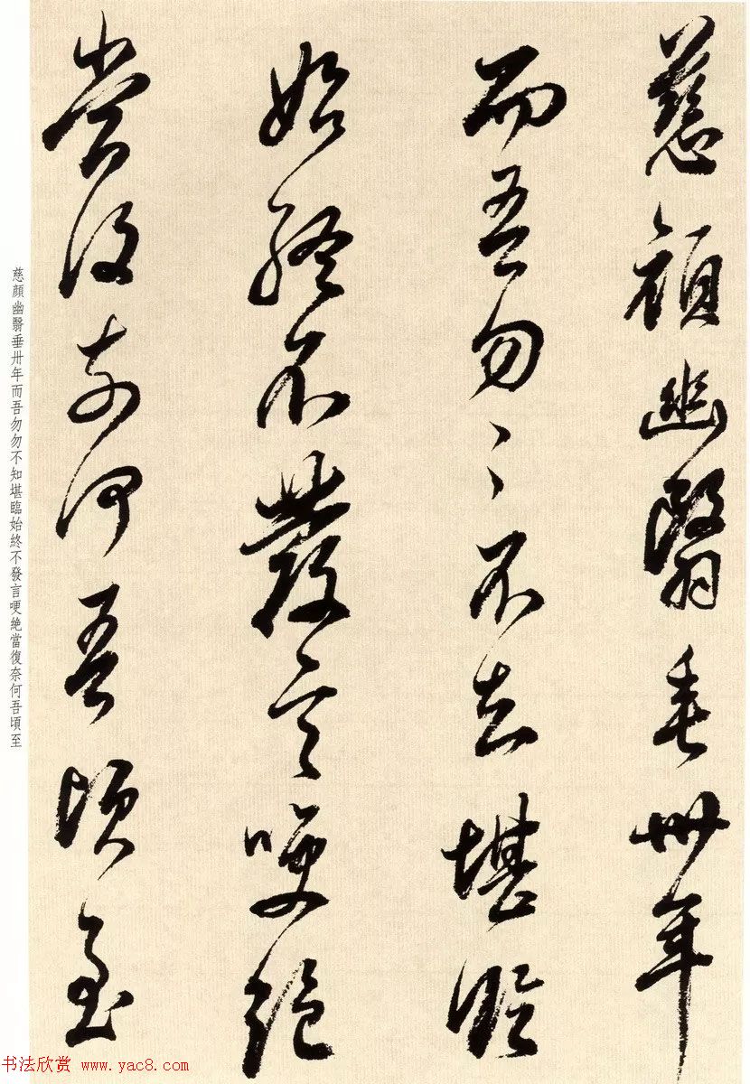 鷨īٴ