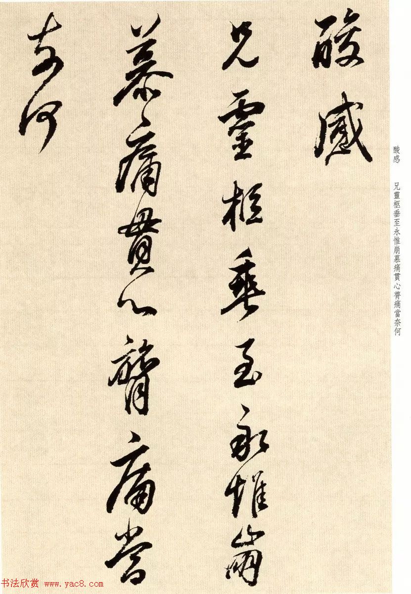 鷨īٴ