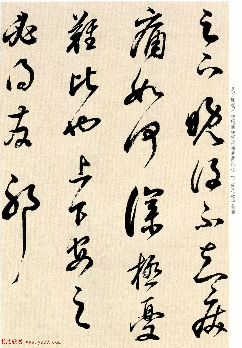 鷨Ҷٴ