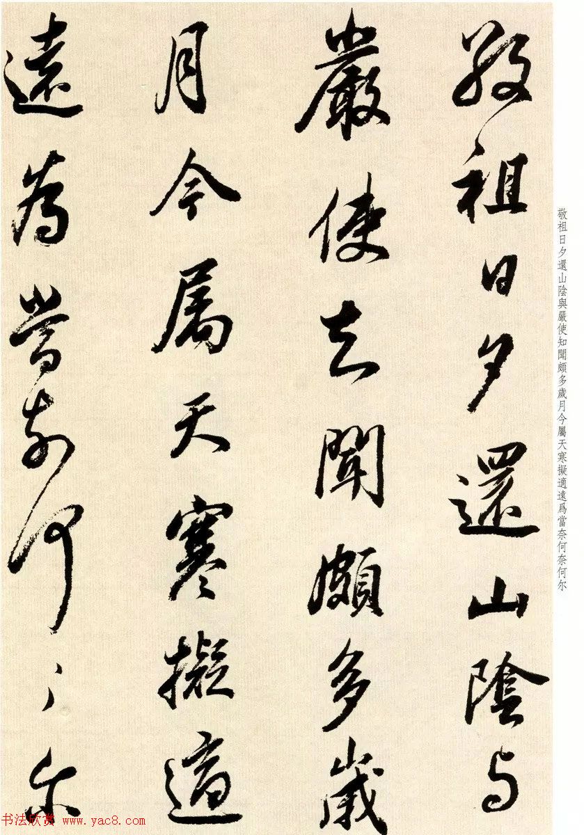 鷨Ҷٴ