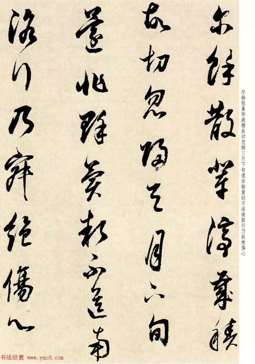 鷨Ҷٴ