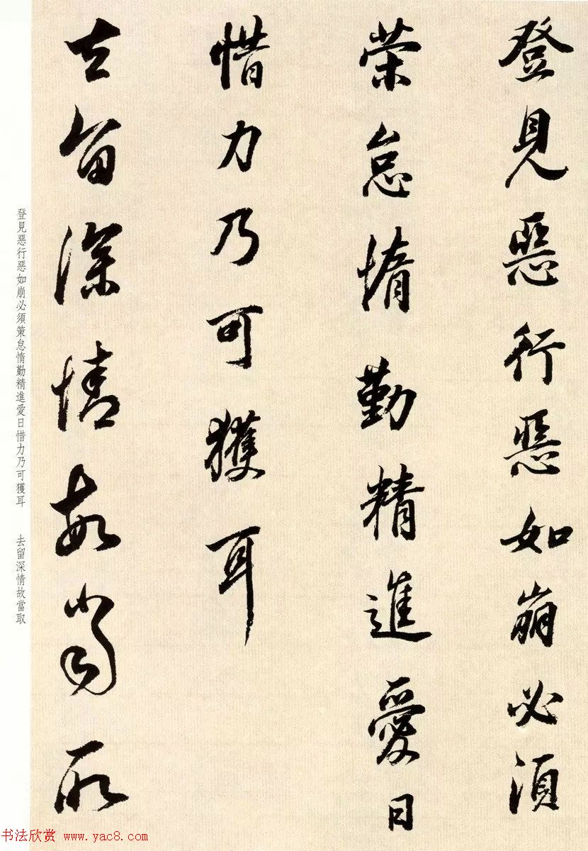 鷨Ҷٴ