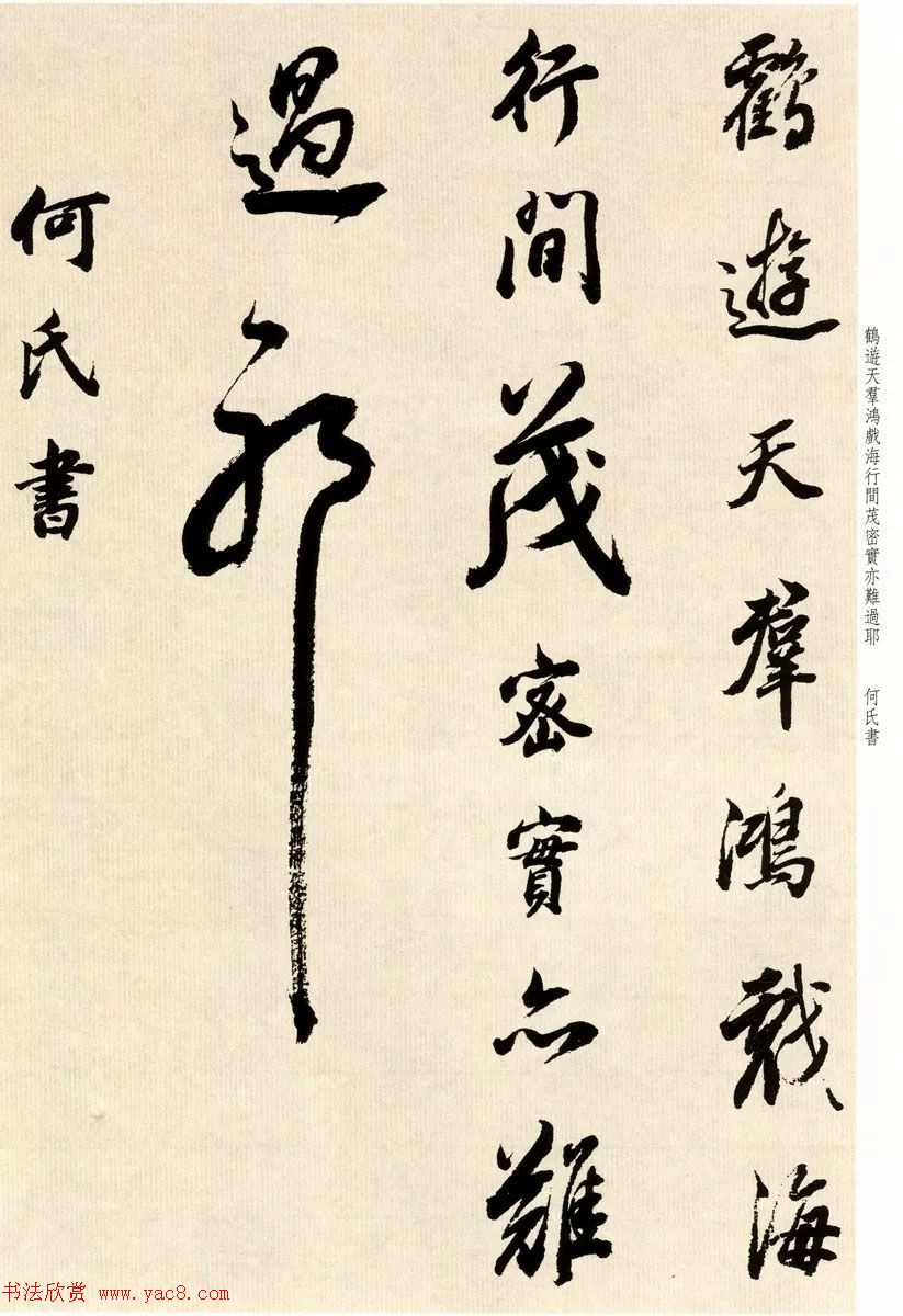 鷨Ҷٴ