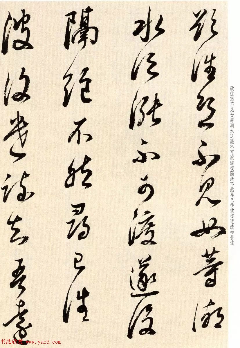 鷨ٴ