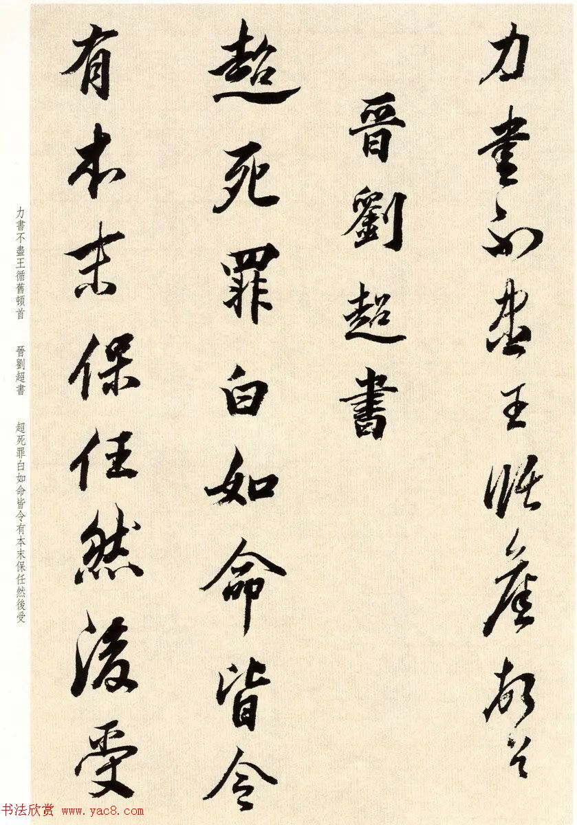鷨ٴ