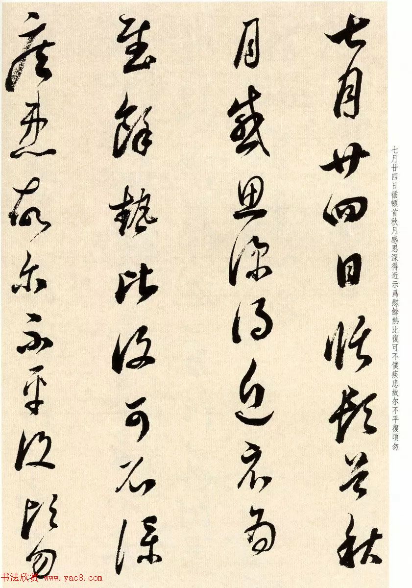 鷨ٴ
