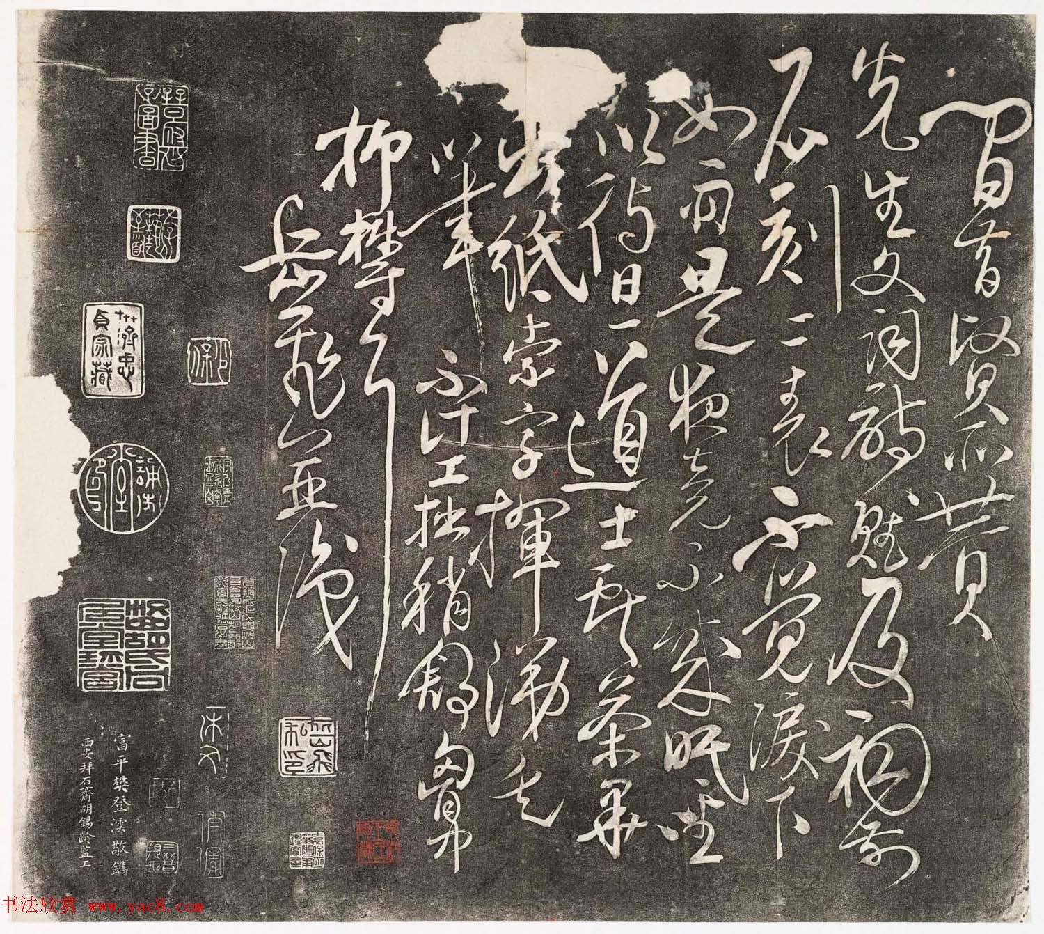 鷨رǰʦ2ϼ