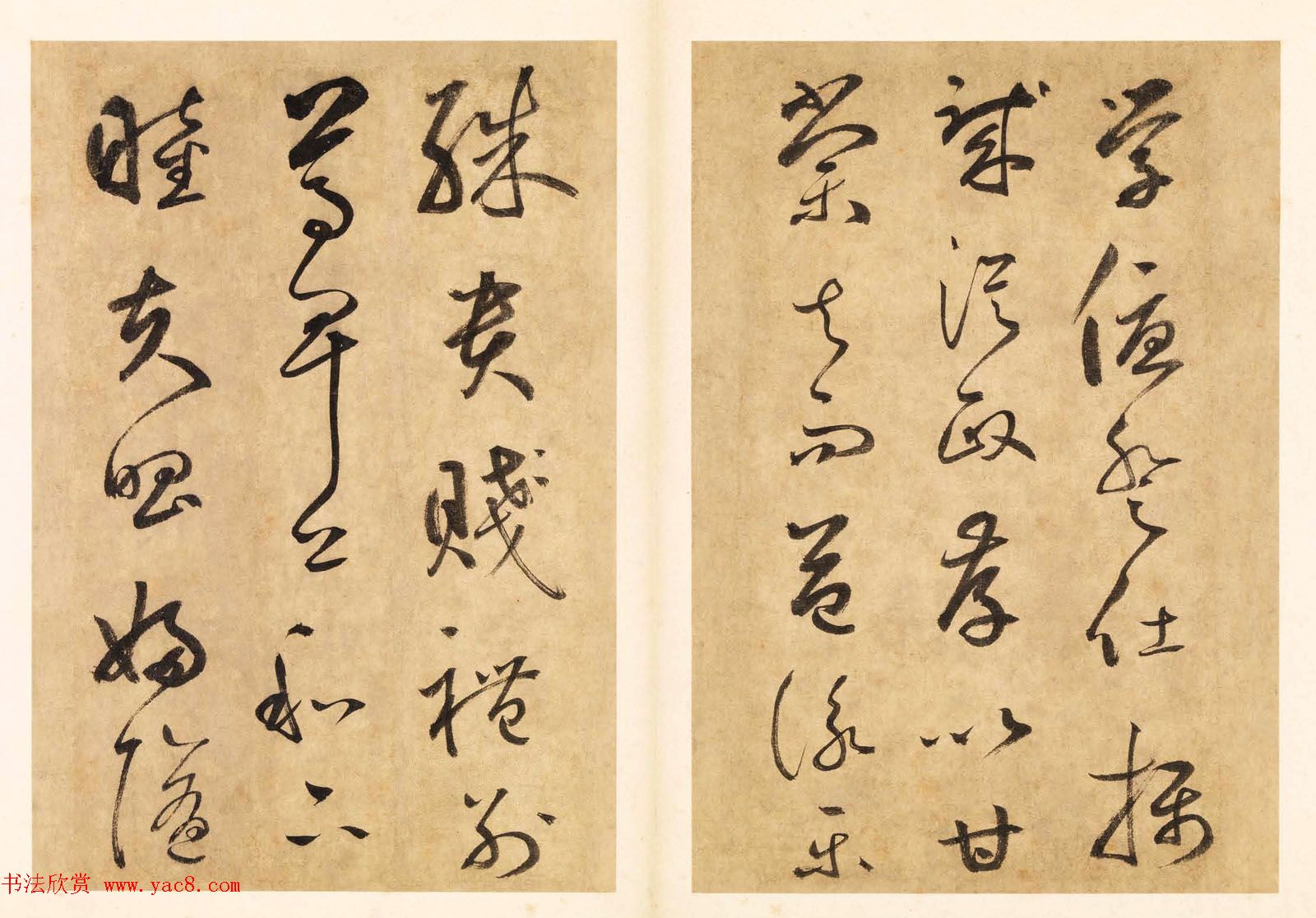元代边武草书千字文册页三十七开