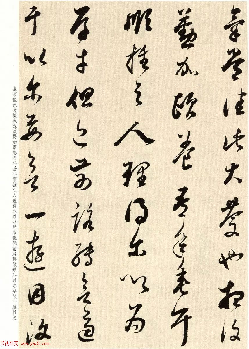 鷨ʦٴ