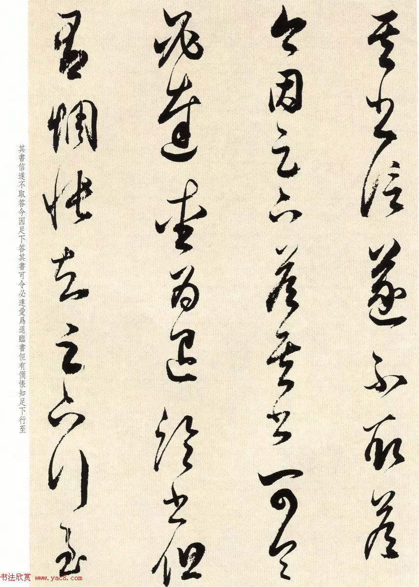 鷨ʦٴ