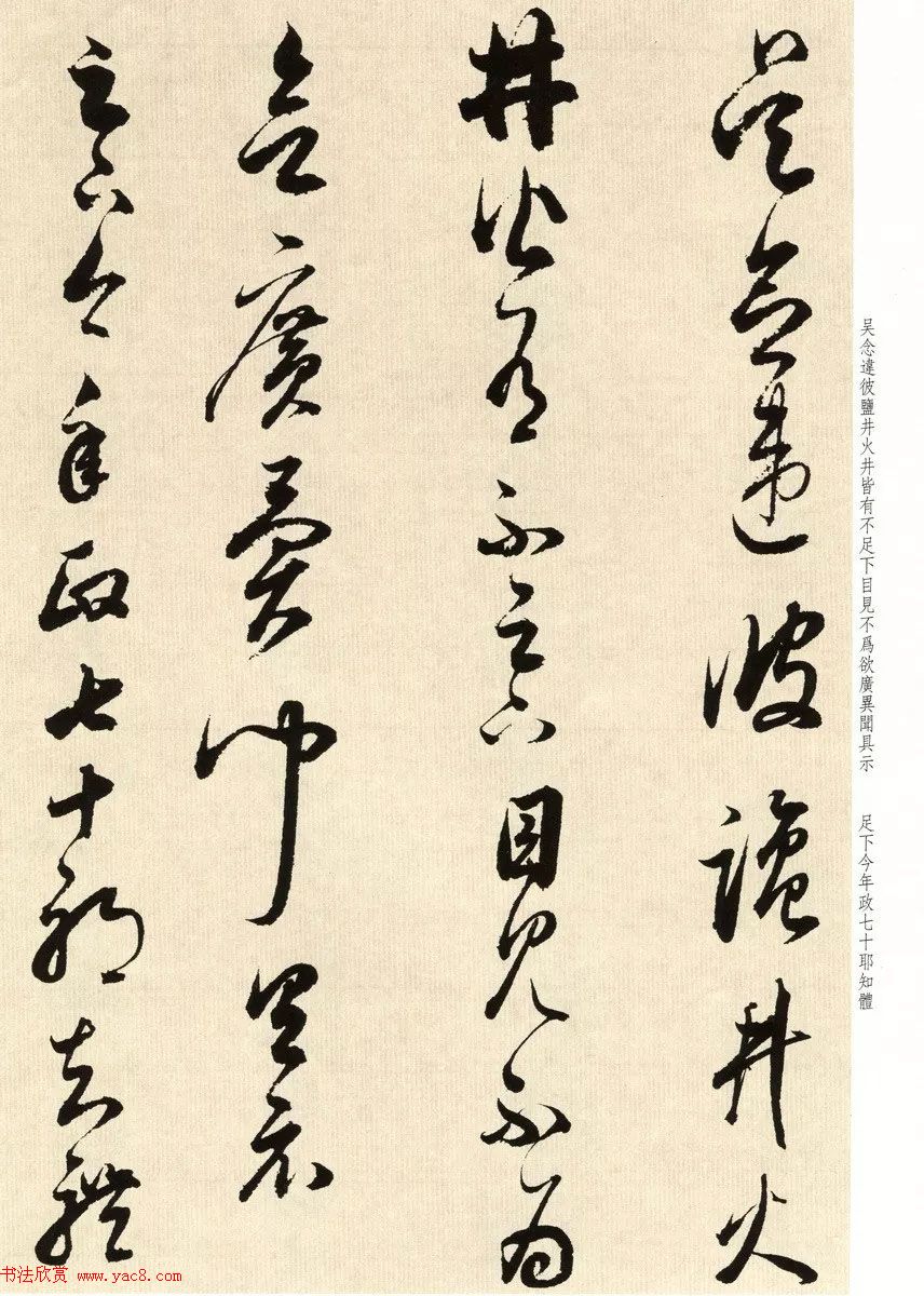 鷨ʦٴ
