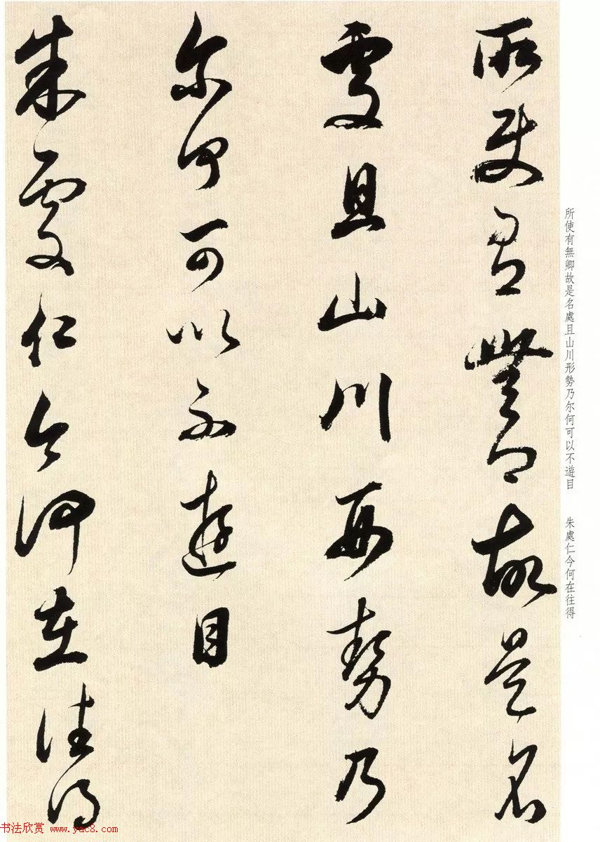 鷨ʦٴ