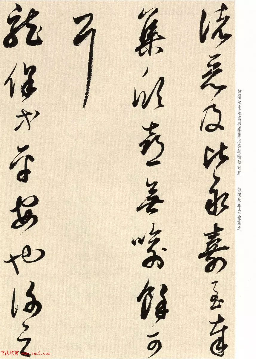 鷨ʦٴ