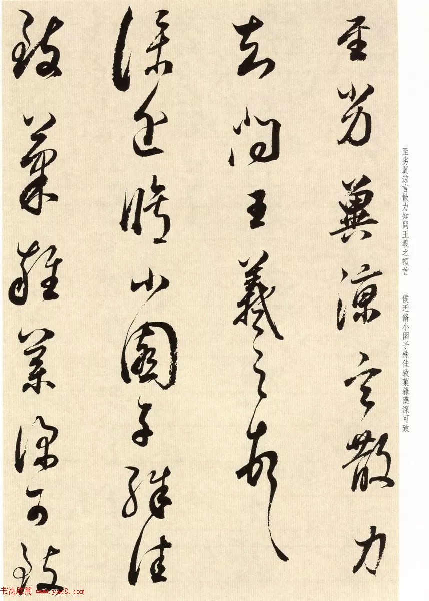 鷨ʦٴ