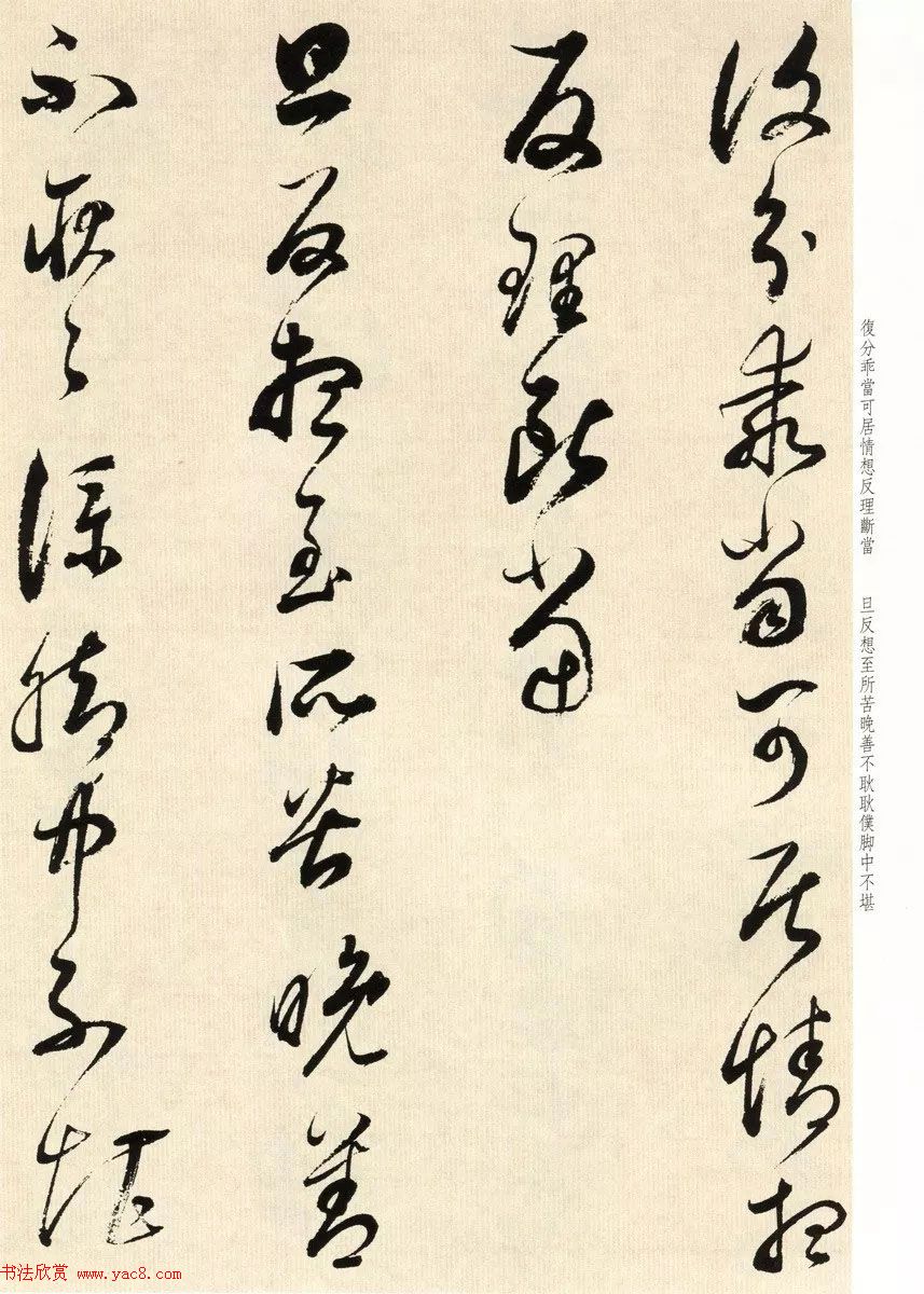 鷨ʦٴ