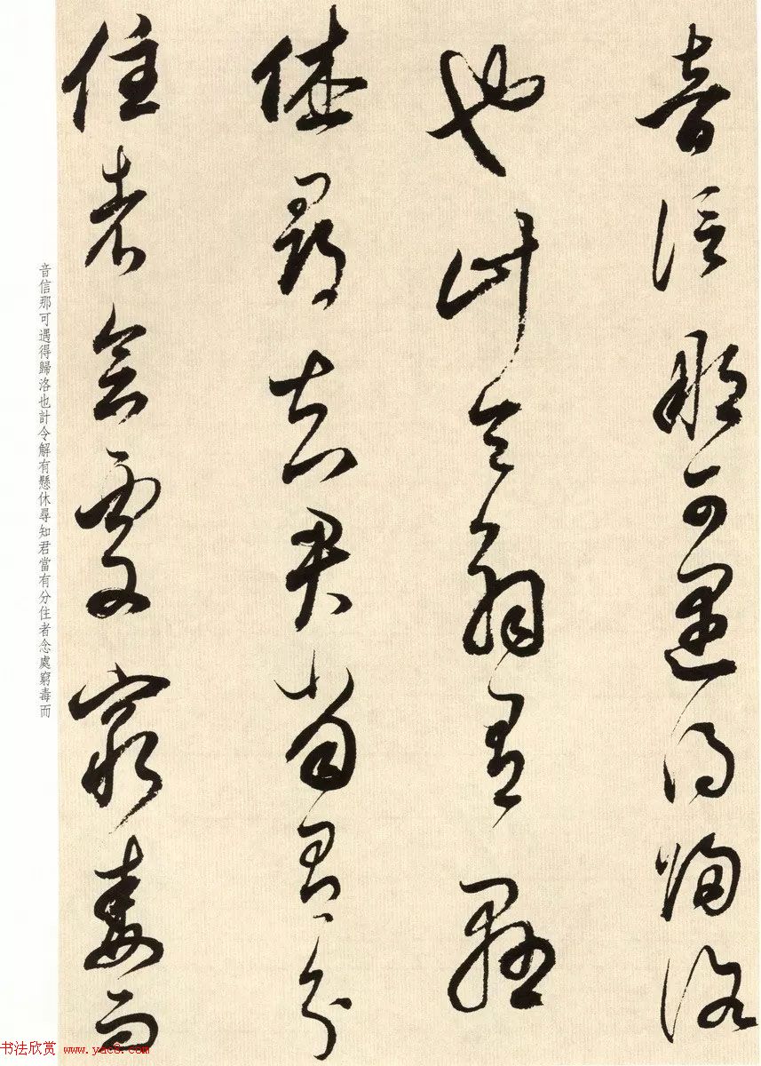 鷨ʦٴ