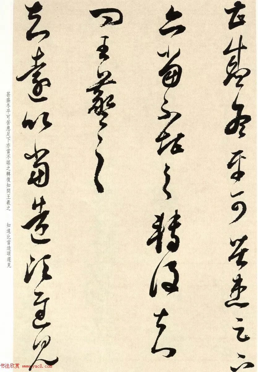 鷨ʦٴ