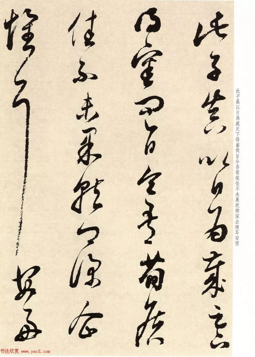 鷨ʦٴ