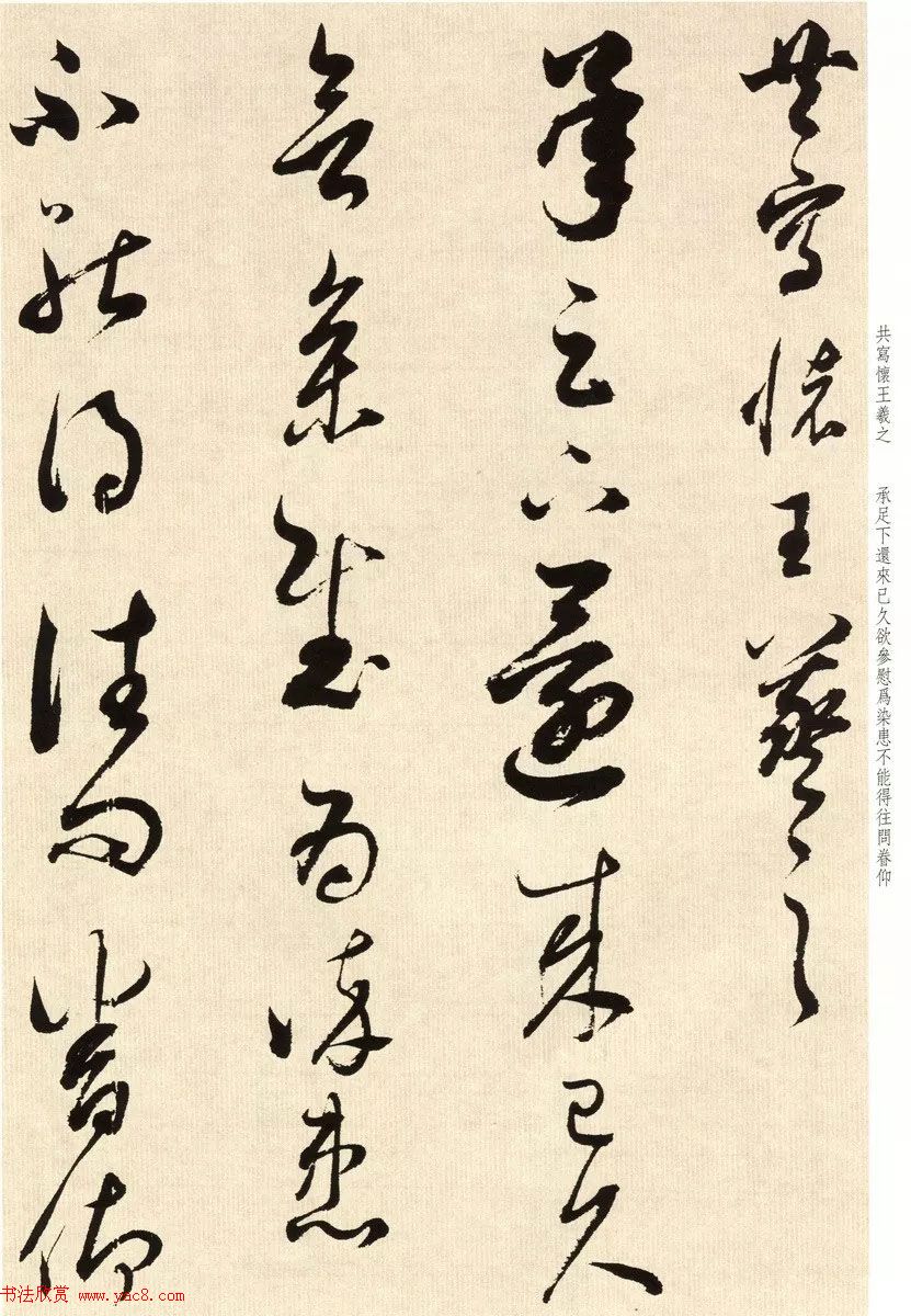 鷨ʦٴ