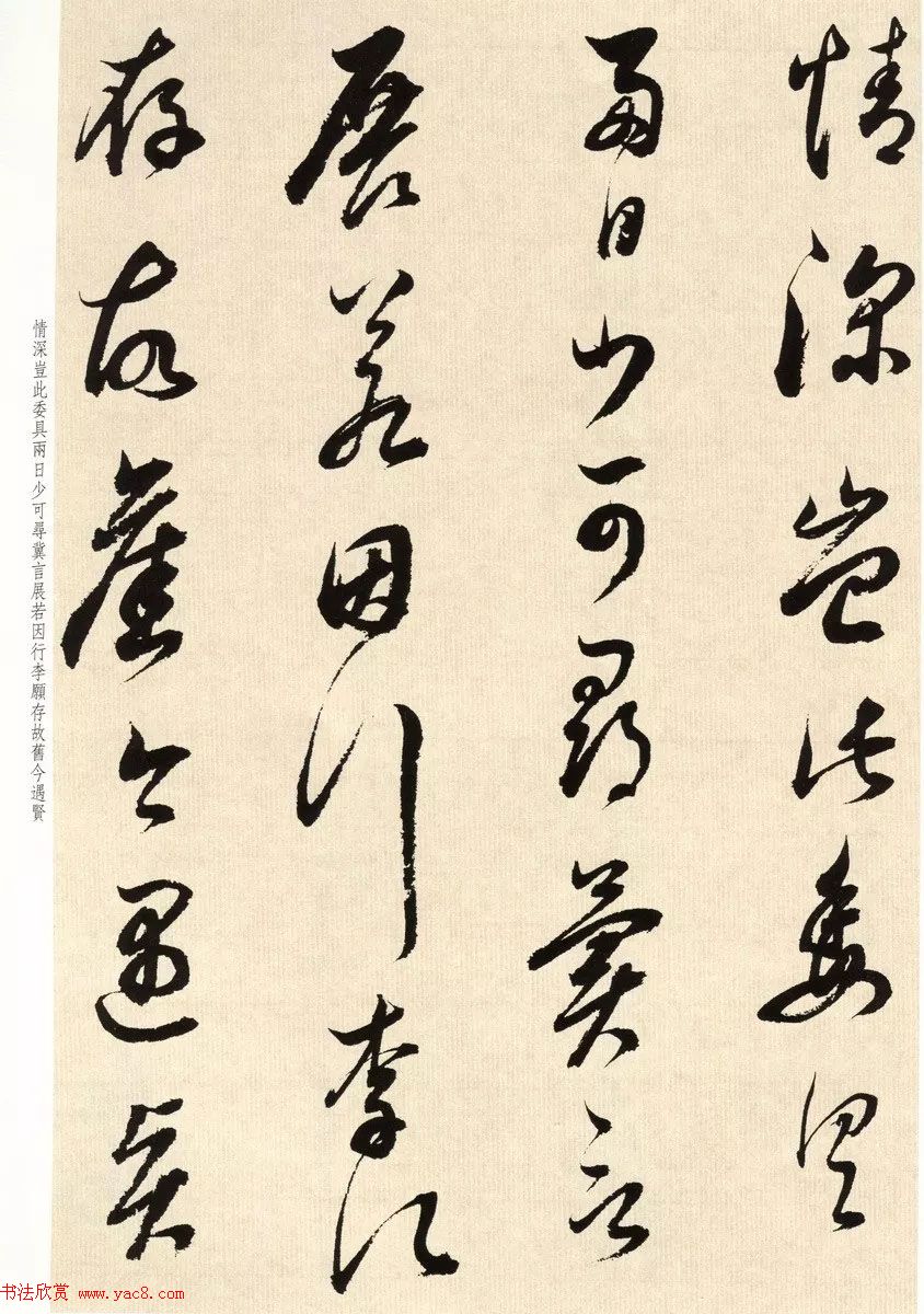 鷨ʦٴ