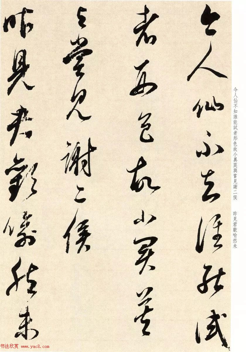 鷨ʦٴ