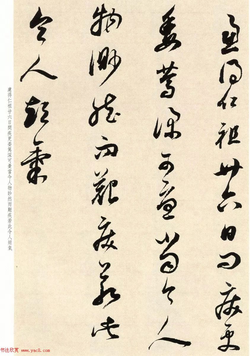 鷨ʦٴ
